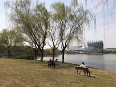 -东华大学(松江校区)