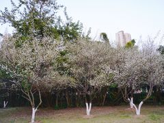 -金山公园