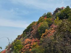 -秦岭终南山世界地质公园翠华山景区