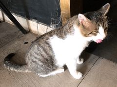 -UNI UNI(环亚凯瑟琳店)