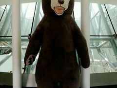 -济州岛泰迪熊博物馆