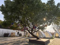 -同里国家湿地公园
