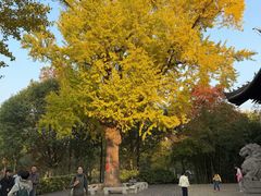 -狼山风景名胜区