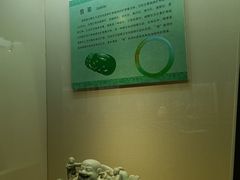 -安徽省地质博物馆