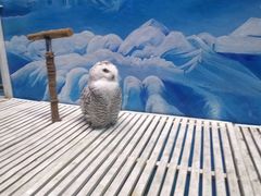 -成都浩海立方海洋公园