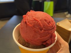 -Patagonia Chocolates(皇后镇店)