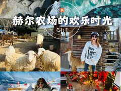 -HERRE·FARM 赫尔露营农场·团建聚会包场