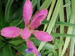 -国家植物园南园