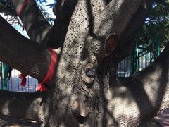 -国家植物园南园