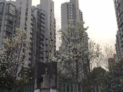 -新湖明珠城