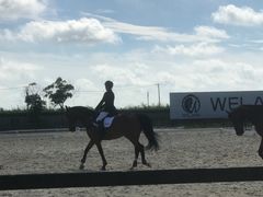 -松声马术俱乐部