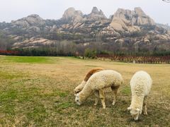 -嵖岈山风景区