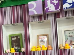 -瑞鹏·疫苗·绝育·宠物医院(金沙洲店)