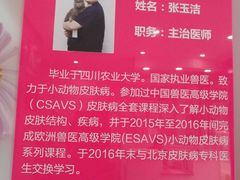 -伟伟宠物医院·CT影像中心·瑞派犬猫综合性门诊(汉口总院)