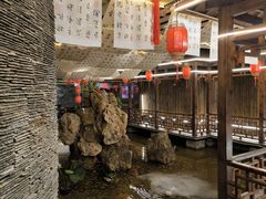 -天使宠物医院·犬猫分诊(彩虹店)