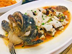 清蒸石斑鱼-金时代顺风大酒店(协泰店)