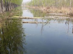 -微山湖红荷湿地景区