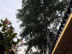 -申德勒加油站西餐厅(日坛路总店)