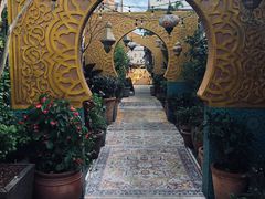 -The Grounds of Alexandria