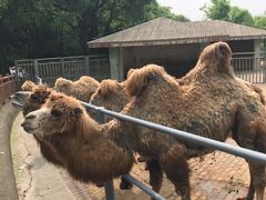 -无锡动物园·太湖欢乐园