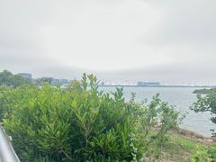 -滴水湖