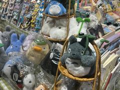 -猫的天空之城概念书店(苏州诚品店)