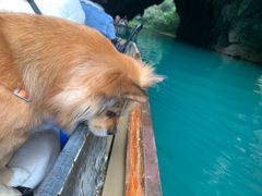 -三门海