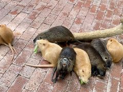 -水上乐园·欢乐世界