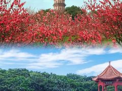 -广州莲花山旅游区