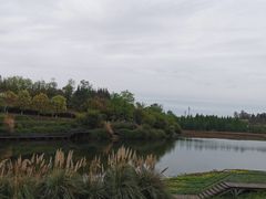 -白鹭湾湿地公园