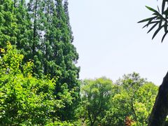-上海醉白池公园