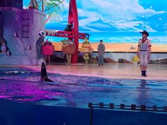 -三亚海昌梦幻海洋不夜城