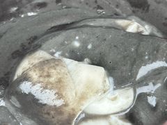 -钟姨糖水(惠城店)