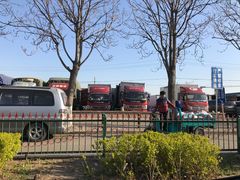 -北京新发地农产品批发市场-特菜交易厅