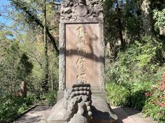 -青城山