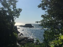 -南紀白浜 浜千鳥の湯 海舟