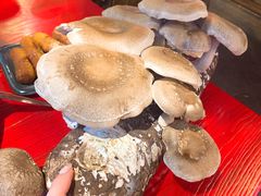 -谭鸭血老火锅(漳州路店)