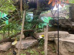 -常州淹城野生动物世界