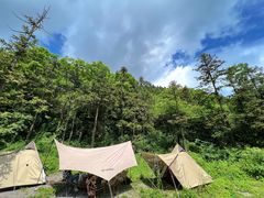 -武陵山森林公园