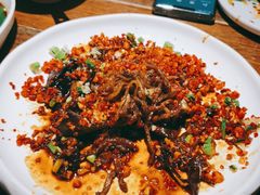 -前海沿·青岛菜(大拇指广场石老人店)