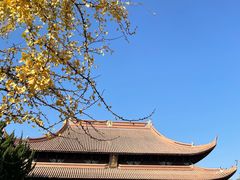 -苏州文庙(姑苏区)