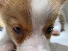 -乐宠宠物店(世纪金源店)