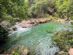 -广州白江湖森林公园