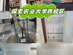 -中国农业大学(西校区)