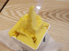 -野人先生现做冰淇淋(北京环宇荟店)