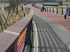 -府河摄影公园