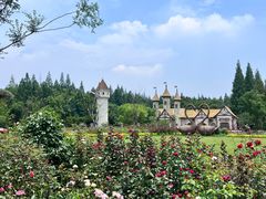 -东平国家森林公园