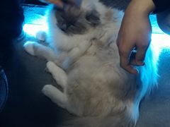 -零纪元VR体验馆·桌游(黄浦店)