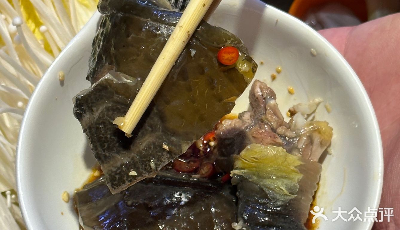 晋江探店｜性价比超高的甲鱼鸡煲