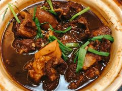 红烧羊肉-新泰和人家(金澄天地花园店)